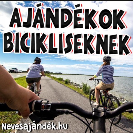 Bicikliseknek