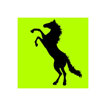 Lovas ajándéktárgyak