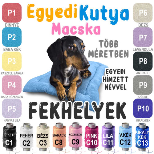 Egyedi Hímzett Kutya Fekhely és Macska Fekhely