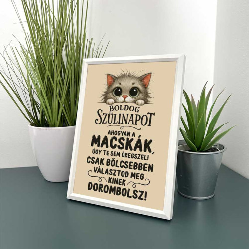 Vicces Képek Kerettel Kis Méret (13,5x18,5cm)