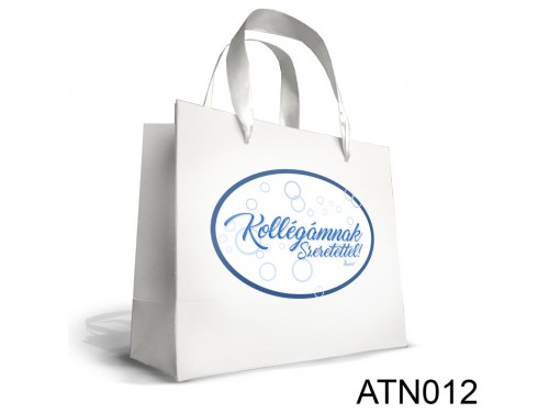 (ATN012) Nagy Dísztasak 25cm x 32 cm - Kollégának szeretettel - Ajándék Kollégának