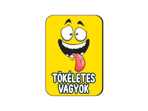 (FH084) Tökéletes vagyok - Fa Hűtőmágnes - Vicces Hűtőmágnes - Vicces Ajándék