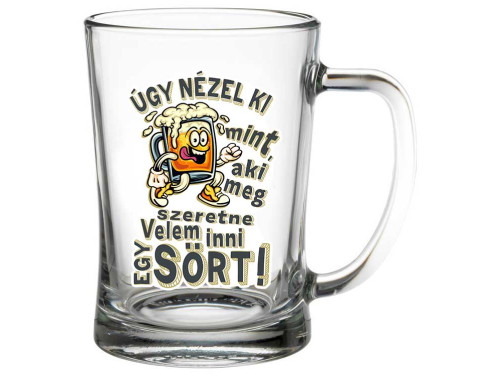 (SS366) Úgy nézel ki, mint aki - Söröskorsó - 500 ml - Vicces Ivós Ajándék Ötlet - Sörös Ajándék