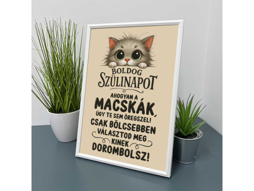 Vicces Kép Kerettel 21×30 cm – Boldog Szülinapot, ahogy a macskák, úgy te sem öregszel - Szülinapi Ajándék