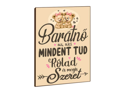 Vicces Feliratos Hűtőmágnes – Barátnő az aki - Ajándék Barátnőnek