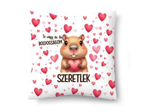 Díszpárna (26×26 cm) – „Te vagy az én boldogságom” kapibárás szerelmes párna | Valentin napi ajándék