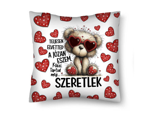 Díszpárna (26×26 cm) – „Teljesen elvetted a józan eszem” vicces szerelmes macis párna