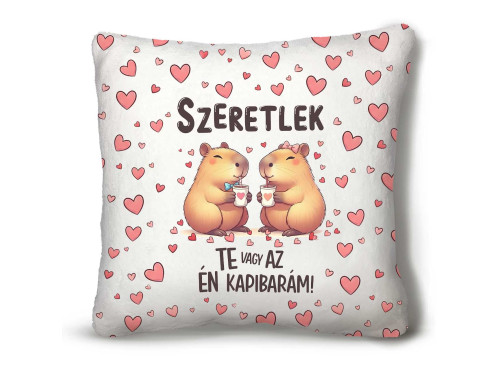 Nagy Négyzet Plüss Párna 45 x45 cm – Szeretlek, te vagy az én kapibarám - Valentin-napi ajándék plüss párna