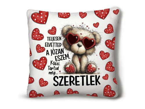 Nagy Négyzet Plüss Párna 45 x45 cm – „Teljesen elvetted a józan eszem” macis mintával - Valentin-napi ajándék plüss párna