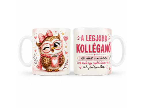 (B1463) Vicces Kolléganő Bögre – Legjobb Kolléganő Aki Nélkül A Munkahely – Vicces Ajándék Kolléganőnek Kávés Bagoly Grafikával